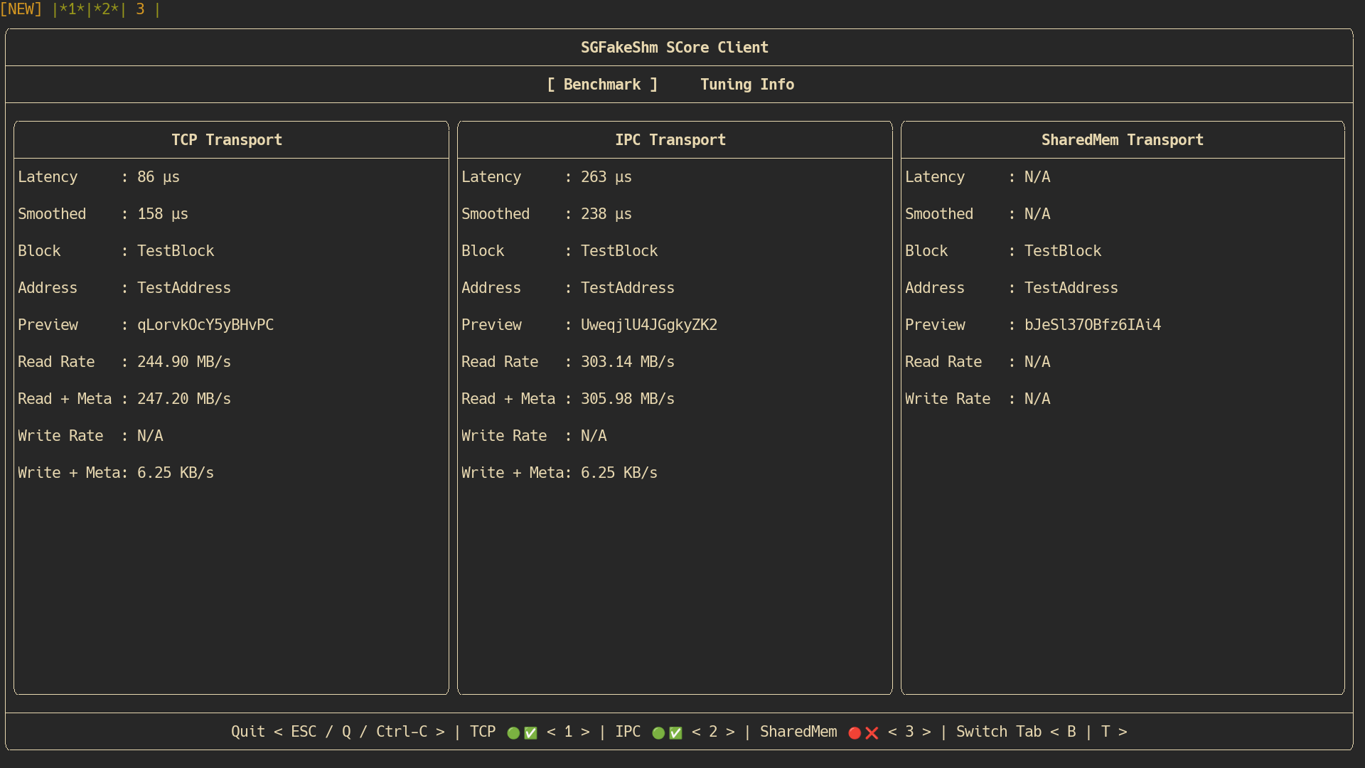 SGFakeShm Benchmarking and Tuning Utilities - sgfakeshm-core-client running on GNU/Linux - Benchmark Tab