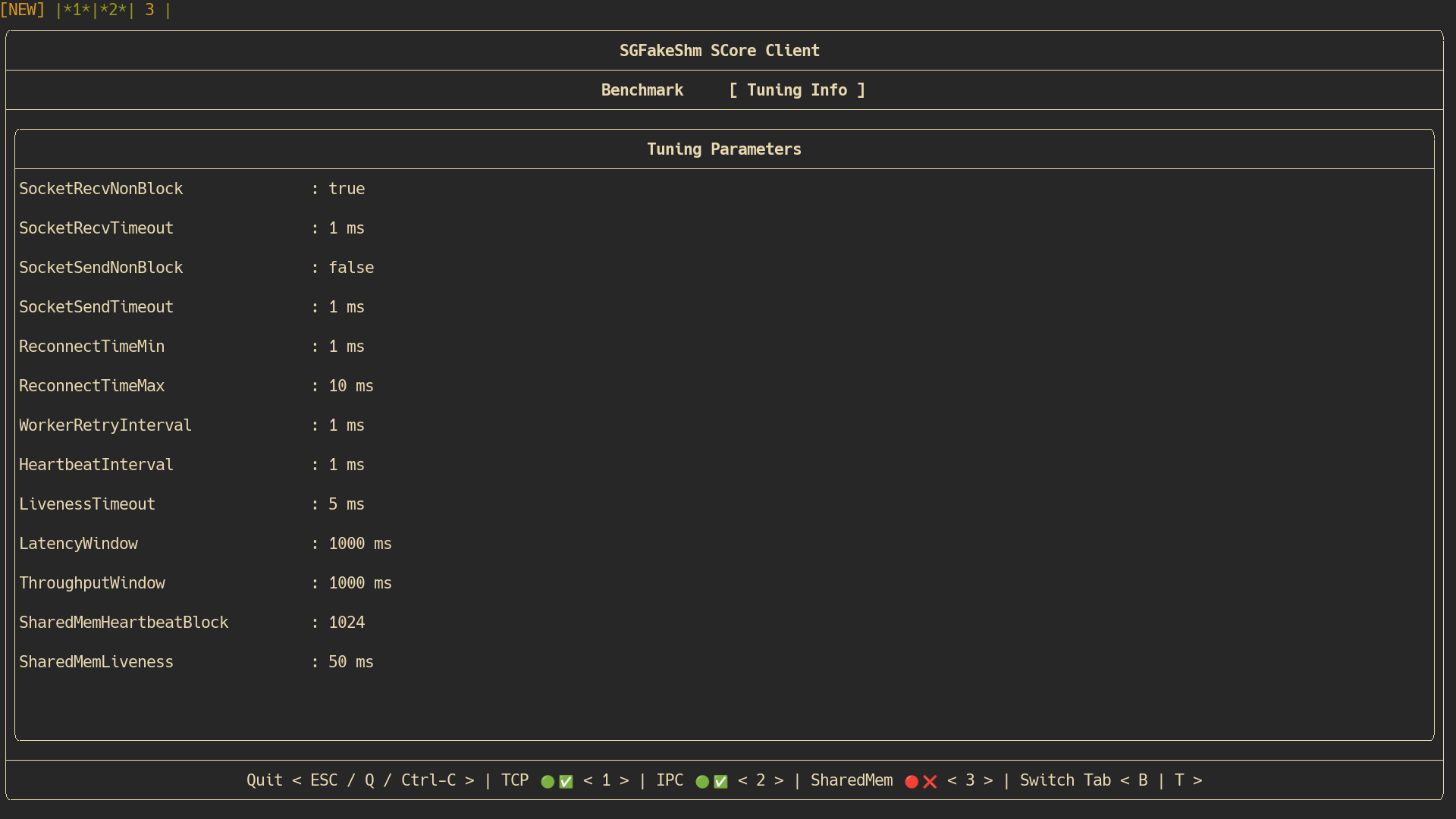 SGFakeShm Benchmarking and Tuning Utilities - sgfakeshm-core-client running on GNU/Linux - Tuning Info Tab